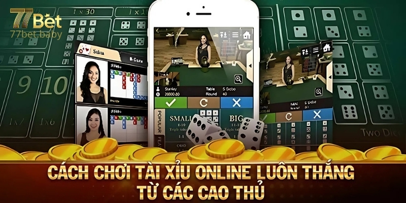 Mẹo Chơi Tài Xỉu 77Bet Cực Hiệu Quả